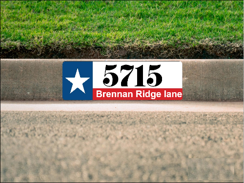 Texas Flag Curb Number/Address