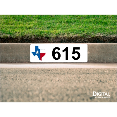 State of Texas Curb Number