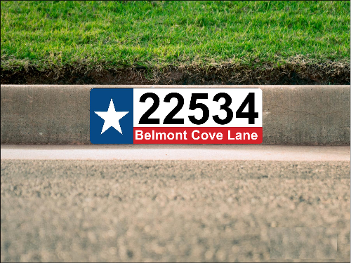 Texas Flag Curb Number/Address