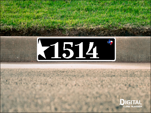 Texas Star Curb Number-Black