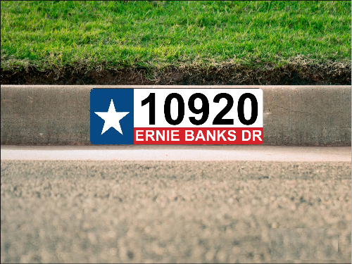 Texas Flag Curb Number/Address