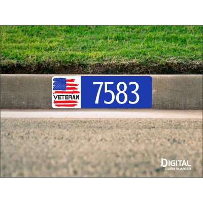 Veteran Curb Number