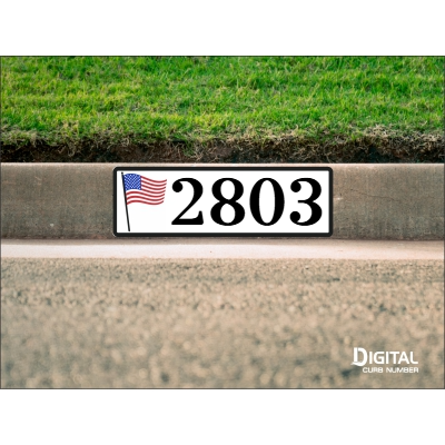 American Flag Curb Number