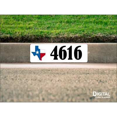 State of Texas Curb Number