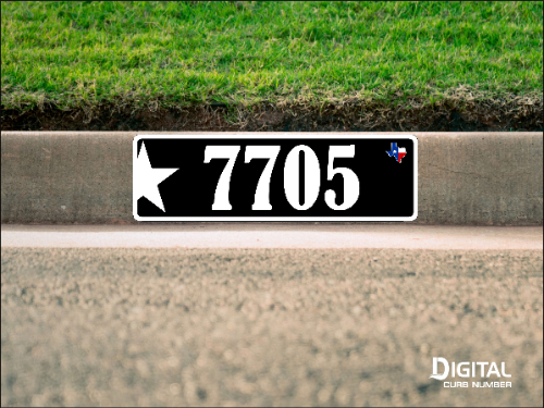 Texas Star Curb Number-Black