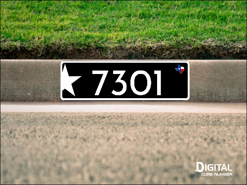 Texas Star Curb Number-Black