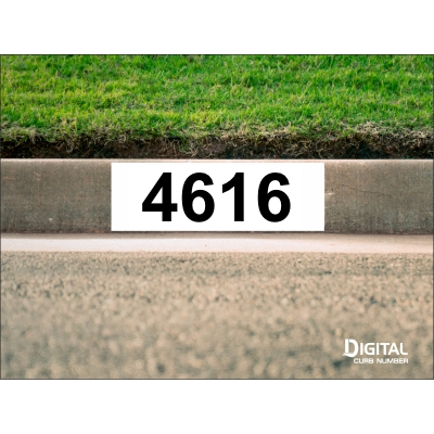 White Curb Number