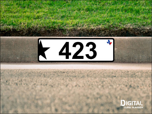 Texas Star Curb Number-White